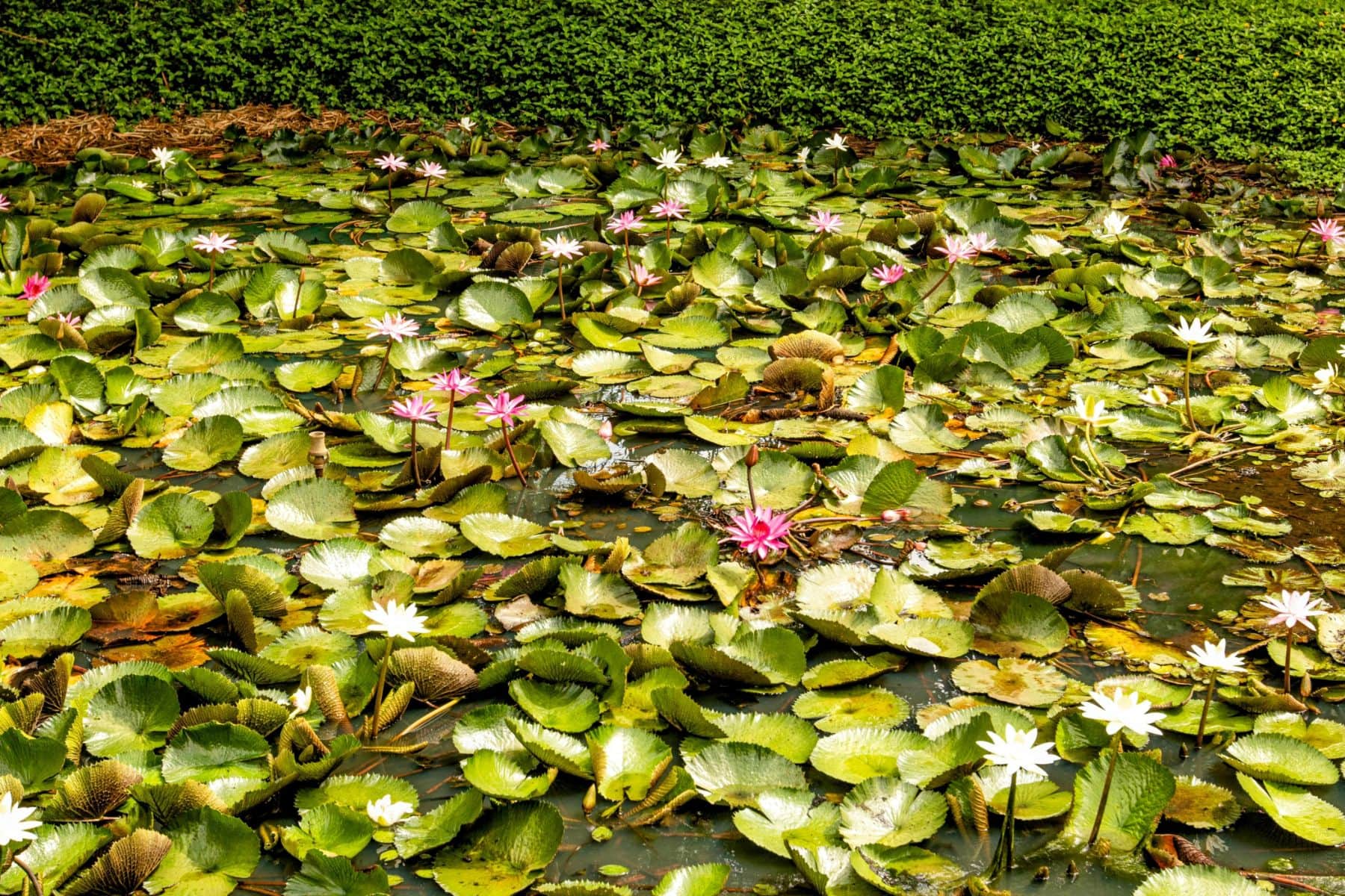Karjat
